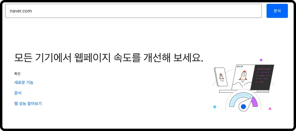 PageSpeed Insights 메인 화면에서 URL을 입력하는 모습